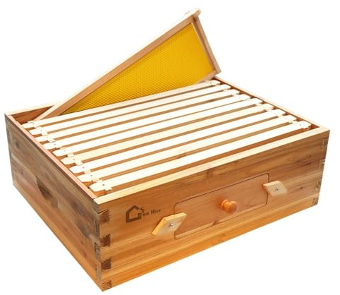 Bienenstock-Starterset, Ablegerkasten mit 10 Medium Waben, Massivholz Beute mit Holzrahmen und gewachstem Fundament, Bienenstockkasten Nachhaltig Imkereibedarf, Bienenhaus transparenten AcrylfensternB