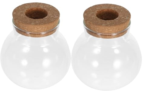 BAZEITFLOW Set 2 Contenitori Idroponici in Vetro Trasparente 480 Ml Per Propagazione Piante Da Tavolo Ufficio Casa Decorazione Minimalista