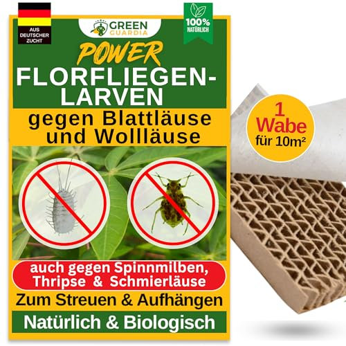 GREEN GUARDIA Power larvas de crisopas contra pulgones y cochinillas – 1 panal para 10 m² – agente biológico para combatir eficazmente pulgones y cochinillas para plantas de interior y ornamentales