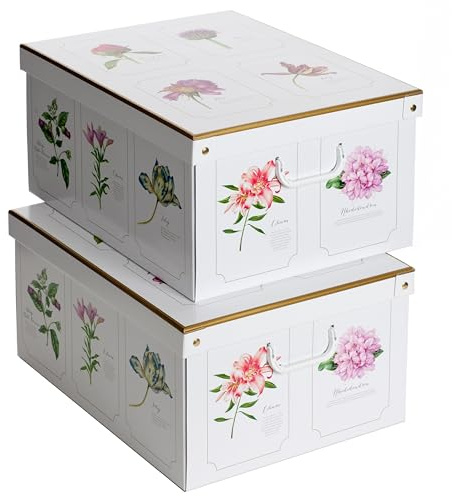 Lavatelli Kanguru - kartong, botanisk, 50x39xh24 cm