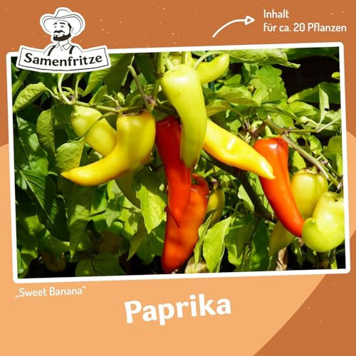 MHD 06/26 Paprika Sweet Banana Samen
