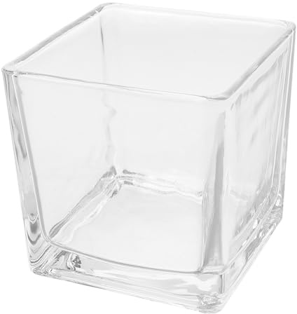 Abaodam Vase en Verre Transparent Carré 8x8 Cm Épais Vase Cubique Moderne pour Fleurs Décoration Intérieure Bureau Mariage