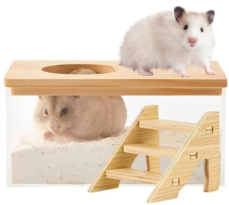 Generiskt sandbadkar för hamster – transparent sandbehållare för hamsterbur | minitoalett och badområde för små djur, inklusive stege, perfekt för hamstrar, racermöss och gnagare