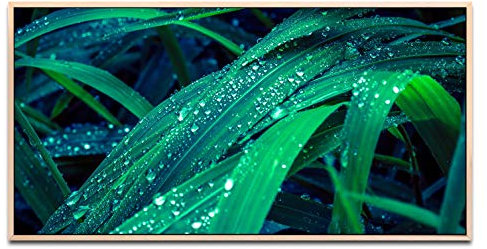 Gräser ca. 130x70cm Wandbild inklusive Schattenfugenrahmen naturfarbend - Panorama Leinwand Bild XXL Format Wandbilder Wohnzimmer Wohnung Deko Kunstdrucke