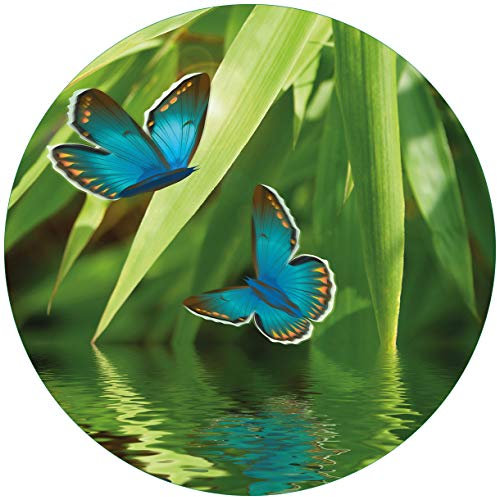 Wallario Glasbild rund Schmetterlinge in Reflektion - Rund, 50 cm Durchmesser Wandbild Glas in Premium-Qualität: Brillante Farben, freischwebende Optik