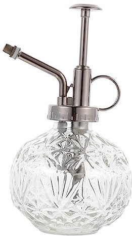 VANZACK Bouteille De Pulvérisation Verre Spray Arrosage Compact pour Fleurs Vaporisateur De Brume Transparent pour Plantes Grasses