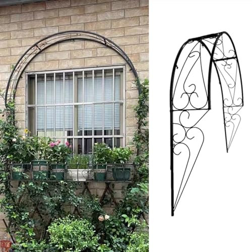 Arche de jardin en métal à fixation murale pour plantes grimpantes, fleurs, vignes, pergola pour fenêtres, portes, entrées, arches de roses décoratives pour jardin