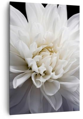 Bilder auf Leinwand 70x100cm Leinwandbild mit Rahmen Blume Dahlie Natur Groß Wanddeko Bild Schlafzimmer Küche Deko Wandbilder Dekoration Wohnzimmer Wall Decor Canvas Wand Kunstdruck Art PA70x100-5229