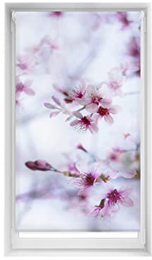 Blindecor Zen Blackout Easyfix Rollo, Bedruckt, Calma, 85 x 150 cm