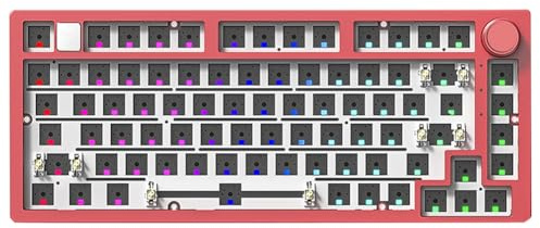 Flaroey Kit Tastiera Meccanica Cablata con Retroilluminazione RGB Montata su Guarnizione, per Laptop da Ufficio e Gaming.