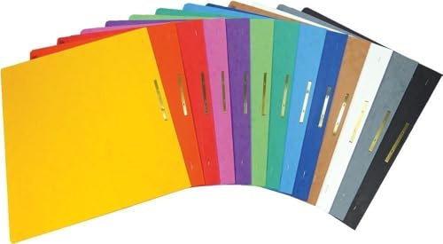 Brunnen Schnellhefter Pappe extrastark (Fact! Schnellhefter Karton, sortiert, 13 Farben | Sortierung I)