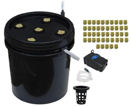 Fenteer DWC Hydroponique Système de Culture en Maison pour Porche, Arrière-Cour,