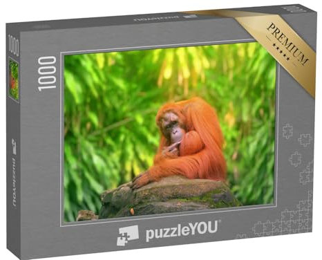 puzzleYOU: Puzzle 1000 Teile „Erwachsener Orang-Utan sitzend mit Dschungel als Hintergrund“ – aus der Puzzle-Kollektion Affen, Tiere in Dschungel & Regenwald