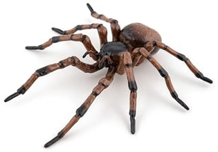 Papo Figura Realista de Araña, Colección Animales de Jardín, Niños 3+