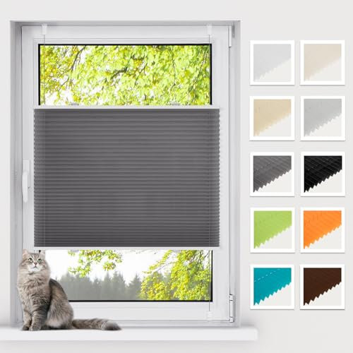 BelleMax Plissee ohne Bohren Klemmfix, Anthrazit 85x130cm(BxH), Easyfix lichtdurchlässig Sichtschutz und Sonnenschutz, Jalousie Plisseerollo mit Klemmträger, Faltrollo für Fenster & Tür