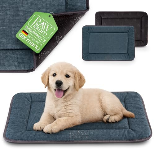 RAW Nature KIVO Hundematte S, 60x45x3cm, Lagunengrün, rutschfest | Kompaktes Format für kleine Hunde, Cord-Liegefläche, rutschfest, waschbar bei 30 °C, ideal für Box, Auto & Zuhause