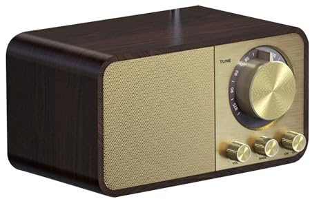 Luqeeg Altoparlante Vintage in Legno, Mini Altoparlanti Portatili Wireless, Radio retrò con Supporto per Doppio Altoparlante e Riproduzione di Piccole Schede di Memoria, Ideale per la Casa (Modello