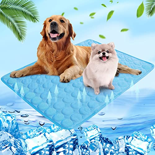 Shujin Kühlmatte Hunde Katzen für Sommer Kühlende Haustiermatte Selbstkühlend Waschbar Kühlpad wasserdichte Kühlkissen rutschfeste Komfortabel Kühlbett(Blau,M (60 * 50 cm))