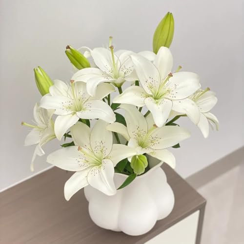 2 pcs lilien zwiebeln- pflanzen für draußen blumenzwiebeln pflanztöpfe deko garten blumen garten winterharte stauden gewächshaus balkon blumenzwiebeln winterhart geschenke für gartenliebhaber