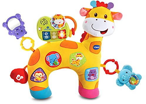VTech Tummy Time Discovery Pillow