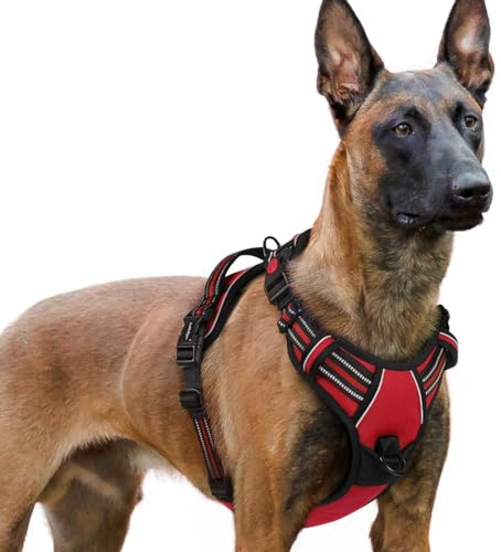 rabbitgoo Harnais Chien avec 3 Boucles, Facile à Mettre et à Enlever, Harnais Anti Traction pour Chien avec Poignée et Attache Devant, Réglable, Réfléchissant, Arnet pour Chiens Grand, Rouge, XL