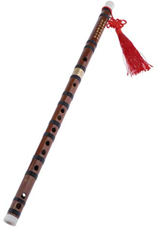 Professionelle chinesische Bitter-Bambusflöte, Dizi, Holzblasinstrument, F-Key