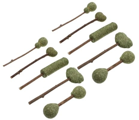ifundom Catnip Lollipop Sticks Edible Catnip Treats 10pcs Chew Snacks for Indoor Cats and Kittens