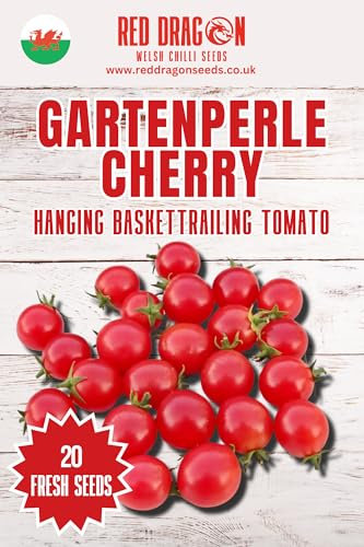 GartenPerle Hanging Basket Tomato Seeds - 20 Fresh GartenPerle Hanging Basket Tomato Seeds