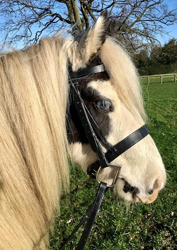 Flat Hunter Snaffle Bridle with Rubber Reins - M&M/Native/Shetland/Cob/Show - All Sizes Brown / Full