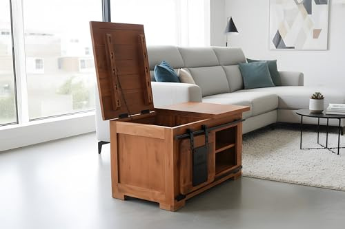 SAM Truhe Libro II, Akazienholz massiv + Nussbaumfarben, Couchtisch mit Holzschiebetür, 1 Klappe & 3 offenen Fächern, Türelemente & Reling aus Eisen, 76 x 51 x 45 cm