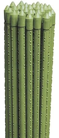 La zappa Cannetta in metallo plastificato tutore reggi piante per giardinaggio ed agricoltura (25, Ø 18 mm x h 240 cm)