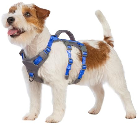 Huntboo Sicherheitsgeschirr Hund Ausbruchsicher, Panikgeschirr für Hunde, Reflektierendes Geschirr Hund mit Griff, Verstellbare Hundegeschirr für kleine, mittelgroße und große Hunde (Meeresblau,XS)