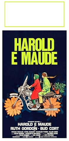 Locandina Harold e Maude | Film cult diretto da Hal Ashby – SACWEBPHOTO