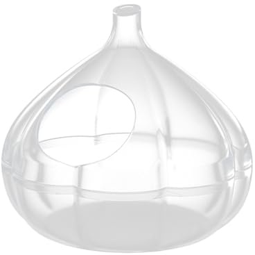 Acunny Hamster Sandbox | Transparent Garlic Sandbox - Home & Small Animals - Games, , Relaxation And Exploration