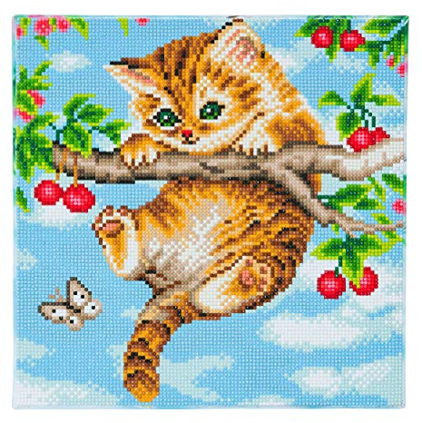 CRYSTAL ART - Kit Tableau Broderie Diamant sur Chassis Toilé - Activité Manuelle de Peinture - Loisirs Créatifs - Adulte et Enfant - Thème : Chaton Acrobate - Format : 30 x 30 cm