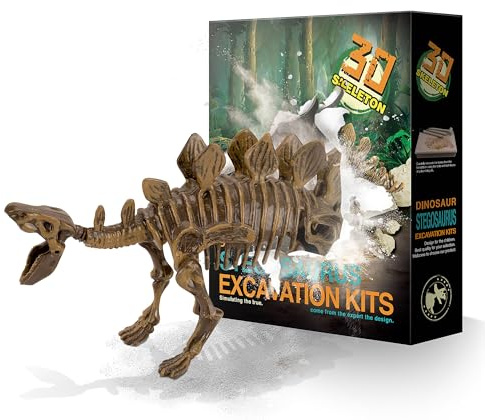 MUSCCCM Dinosaur Dig Kit Stégosaure, Dino Skeleton Fossil Excavation Kit Réaliste Dinosaure Modèle Jouets Éducatifs Cadeau pour Enfants Garçons Filles Cadeau du Nouvel an