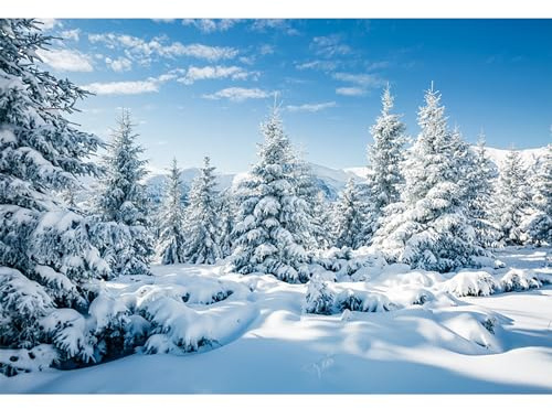 MIRRORANG 2,2x1,5m Inverno Foresta Sfondo All'aperto Neve Scena Pino Cielo All'aperto Partito Congelato Poster Natale Fondali per Servizio Fotografico Capodanno Party Decor Photo Studio Prop, Vinile