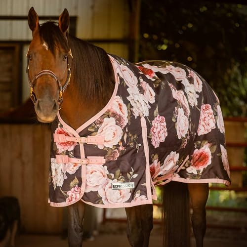 Jeffers 1200D Standard Neck Horse Turnout Sheet, 0G, 81 - Rose Garden