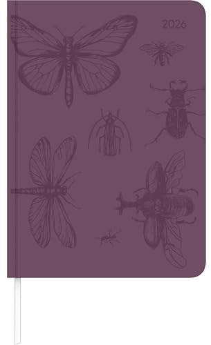 Alpha Edition - Lady Journal Grande Deluxe Purple 2026 – Buchkalender A5 (ca. 15×21 cm) mit Wochenübersicht & edlem Tucson-Einband, eleganter Taschenkalender für Beruf, Schule & Alltag