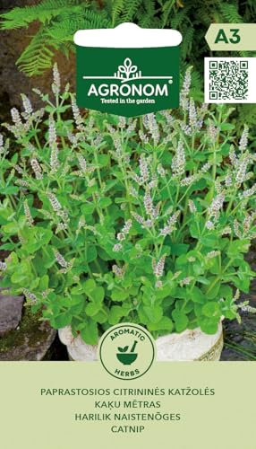 AGRONOM | Katzenminze samen | Blumensamen | Mehrjährige, nektarreiche Pflanze | Frische und getrocknete Blätter werden als Gewürz verwendet | Pflanzensamen| Gardensamen | 1 Pack