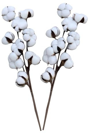 Ruhnjyg Palline di cotone essiccato di colore naturale, 2 pezzi, bouquet di fiori artificiali in cotone essiccato, fiori finti per matrimoni con stelo lungo, per interni ed esterni