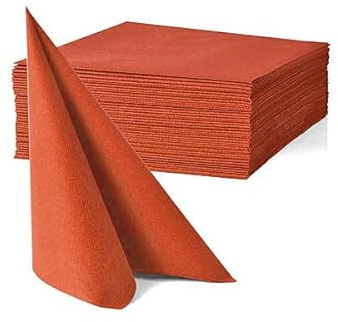 Petites Serviettes Cocktail de Table en Papier Gaufré, Double Épaisseur, 25 x 25 cm, Blanc, Lot de 40 (Terracotta)