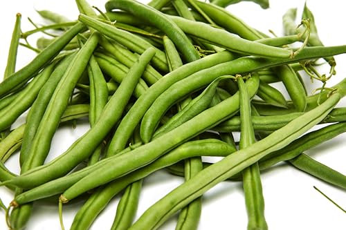 Graines Haricots nain mangetout contender - sachet de 200 grammes - Gros conditionnement - Entreprise Française - Graines de style