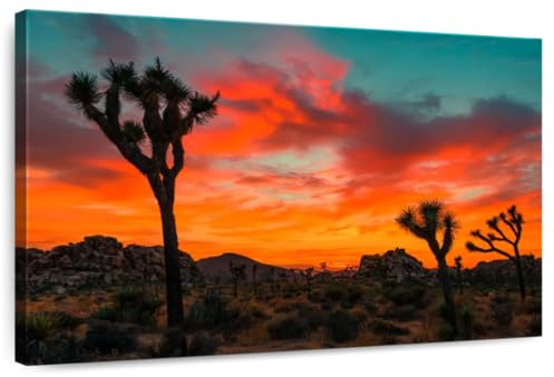 ElephantStock - Sunset Yucca Palms Wall Art - Horizontal Canvas Wall Art - Hallway Wall Decor - Photography Places Canvas Art - Brown And Orange Decor - 24 x 16