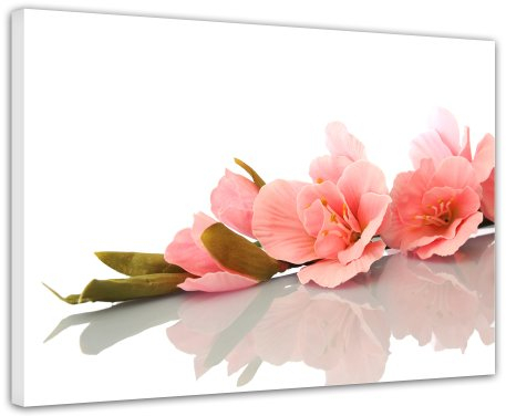 Wandbild - Gladiole - Bild auf Leinwand 80 x 60 cm - Leinwandbilder Bilder als Leinwanddruck Geist & Seele Blume - orange Weiss