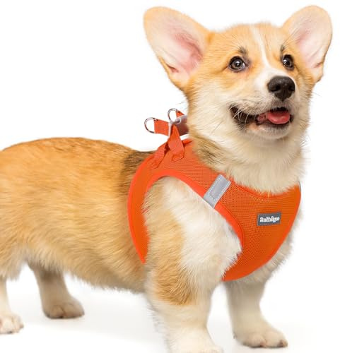 rabbitgoo Hundegeschirr Kleine Hunde, Step-in Weiches Mesh, Orange | Einfach anzulegen, Atmungsaktiv & Reflektierend, Ausbruchsicher mit Sicherheitsverschluss für Kleine Mittlere Hunde Gassi, L