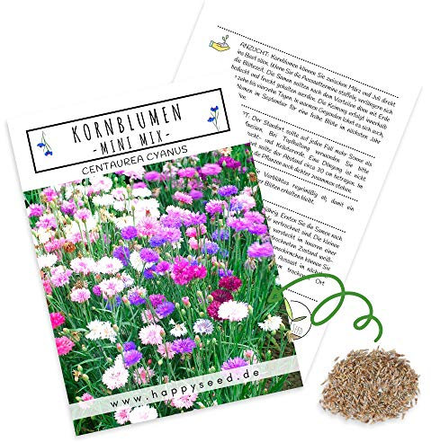 Kornblumen Samen (Centaurea cyanus) - Wunderschön leuchtende Blumen mit langer Blütezeit, kleinwüchsig - ideal für den Balkonkasten (Mini Mix, 1000 Korn, 50 cm)