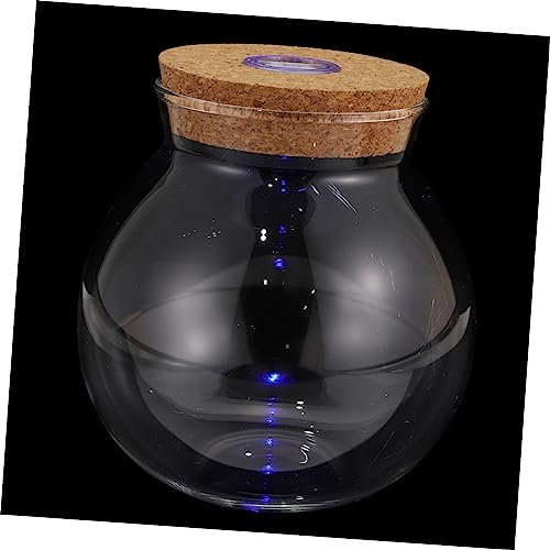 TOYANDONA Glasbehälter Mit Deckel Als Ökologische Flasche Und Aufbewahrungsflasche Mikrolandschaftsflasche Für Dekorative Vase Und Robust Für Diverse Räume