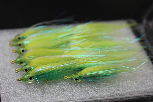 Tigofly 12 Stück 6 Farben glänzende Polare Lachs Forelle Elritze Fliegenfischen Fliegen | Polar Fry, langsam sinkend, Fliegenfischköder, Fliegen-Set, Größe #8