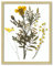 Frametory, Cornice portafoto flottante, 28 x 35,5 cm, in alluminio dorato, in vero vetro frontale, per esposizione a parete